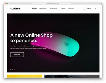 E-commerce Store Screenshot